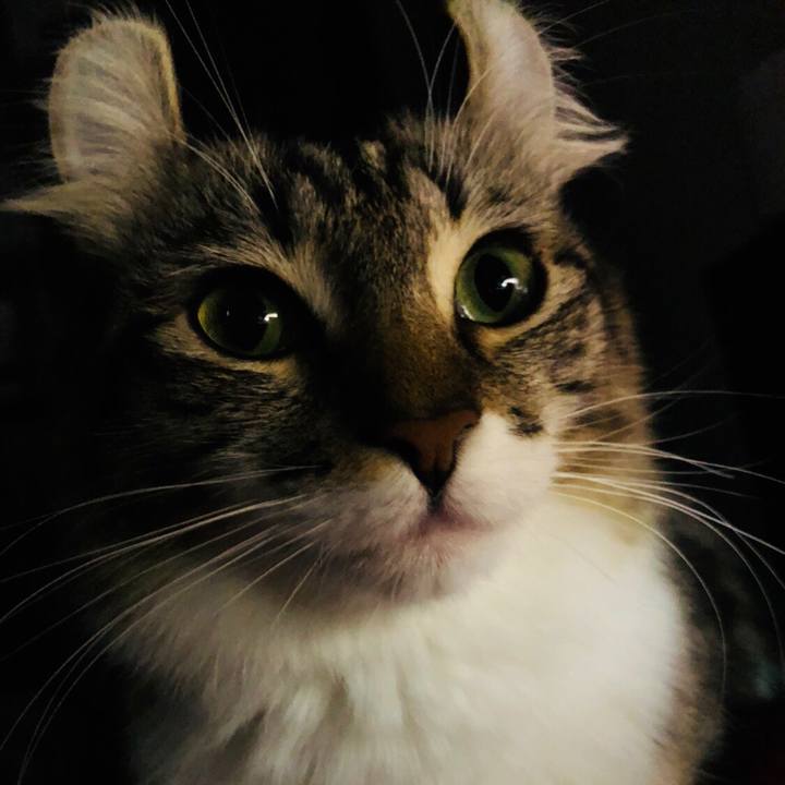 19234f21 9db9 4549 9f8a 2e7f733c22fe 1546823677276