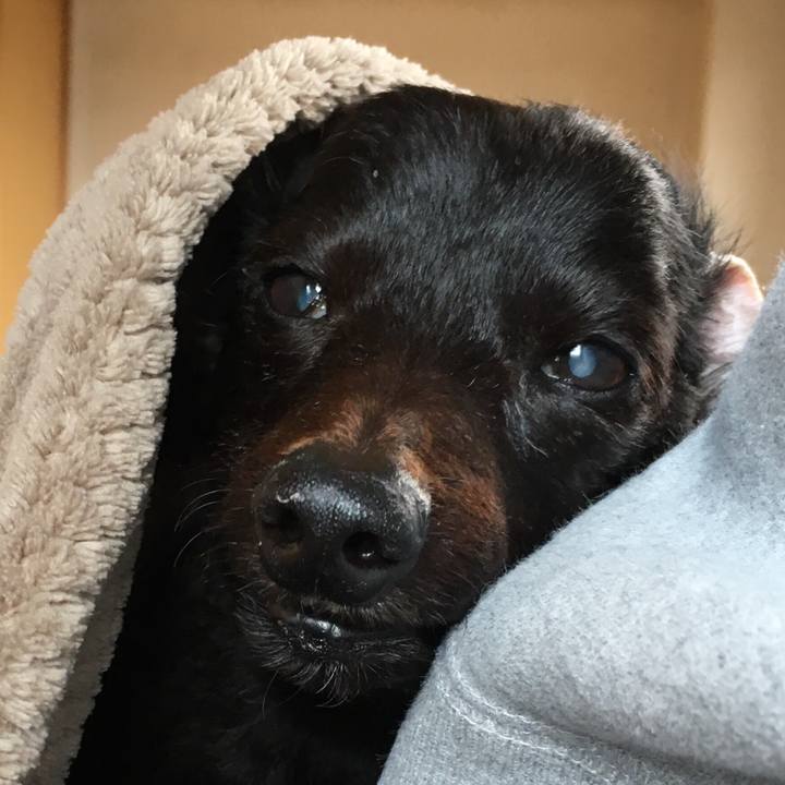 19234f39 58b8 44c6 a1d2 19e0c2a87b34 1554071097014