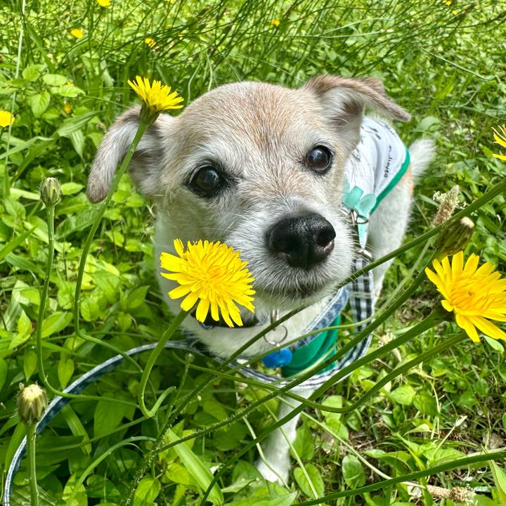 1923830b 7dc7 493d ab80 298479d1935d 1747796466172