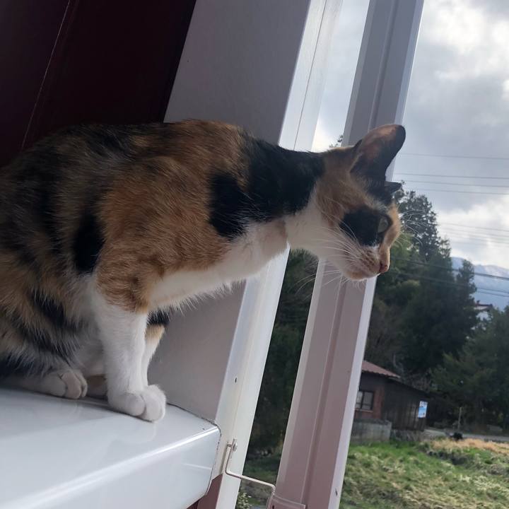 19239837 b52e 4f70 b5e2 58206215160d 1618041788033