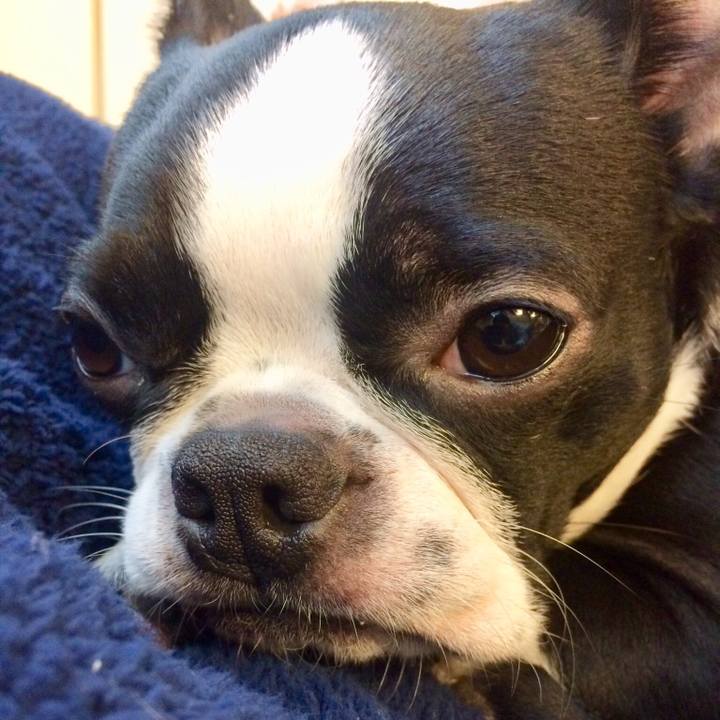 192416cd 3920 4682 a684 ed1745371856 1509885166480