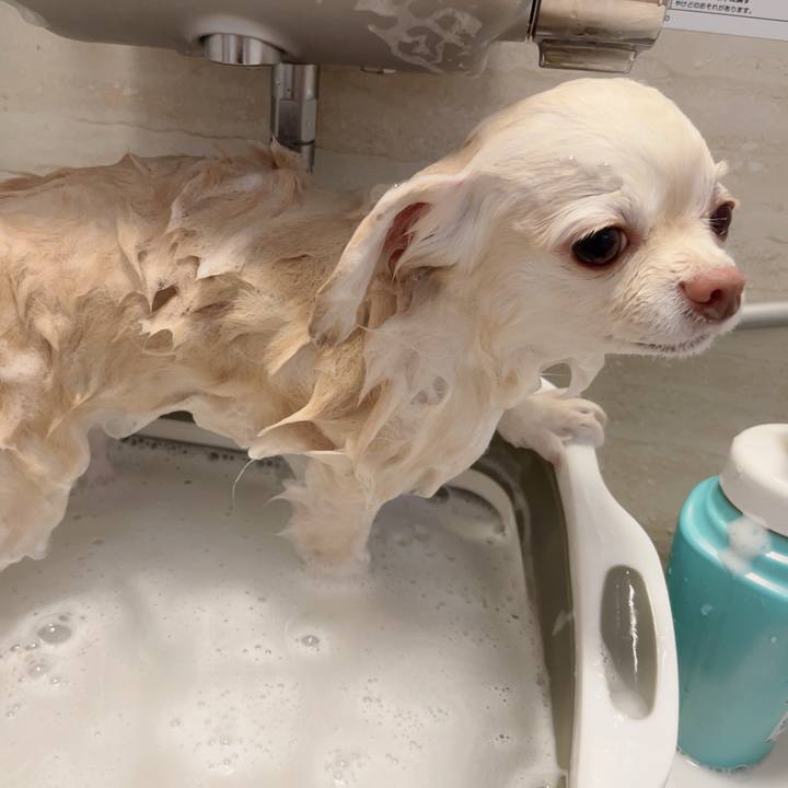 19241934 dba4 4128 b7ef f21345446860 1731381798890