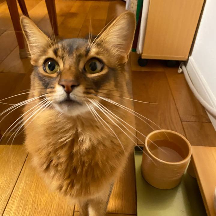 192435f1 407e 4ce0 968d 1c3332ce2e74 1642818082679