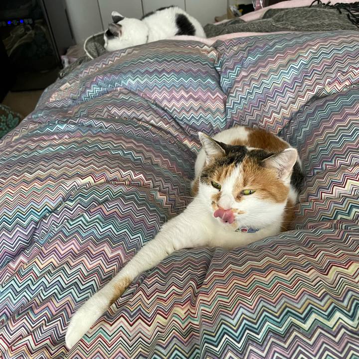 19247560 b64d 4d59 91a4 2c52d6564a20 1700361555785