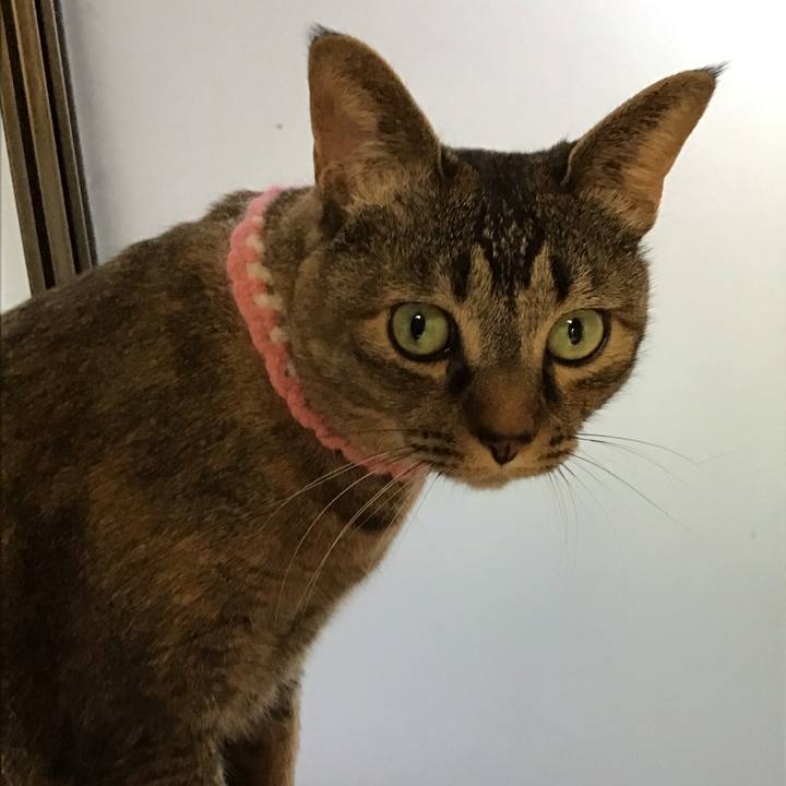 192497d3 bef9 4023 9e6a 4dc7c05be629 1744884636766