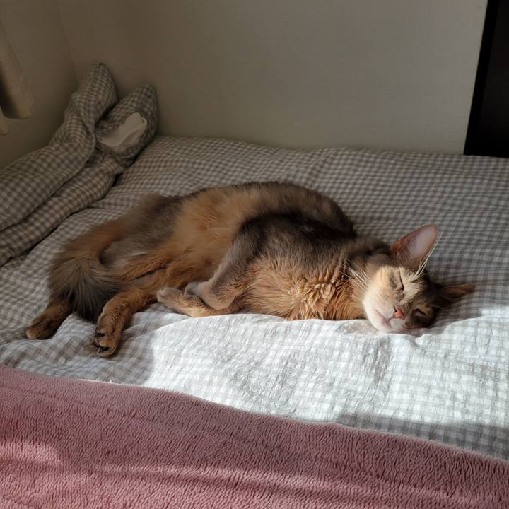 1924ca05 1251 4c58 afa7 6227ac2acb05 1639631130358