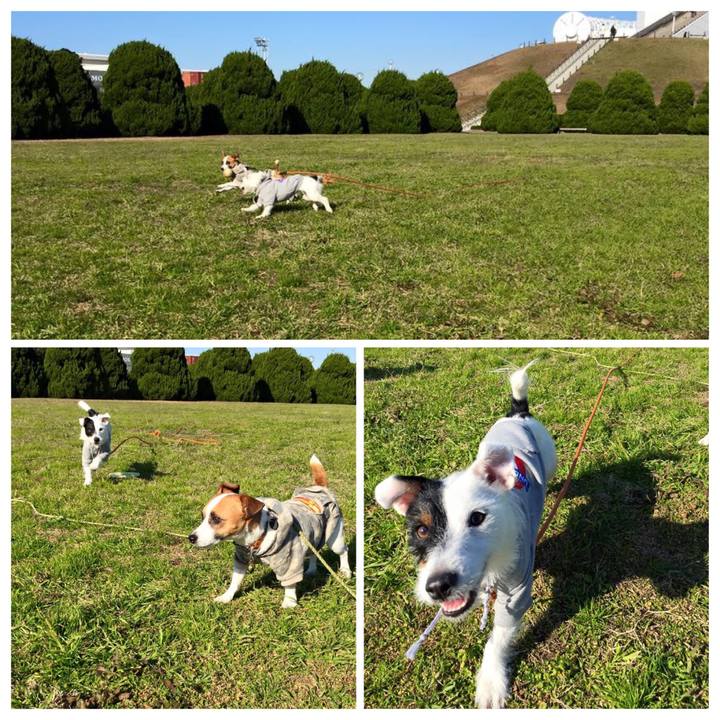 1924d445 de89 4c1e 969d 3517e073ae62 1576797179402