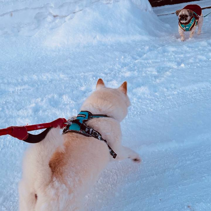 1924fb1c 6b86 44c6 ac53 f48154298d70 1736374793578