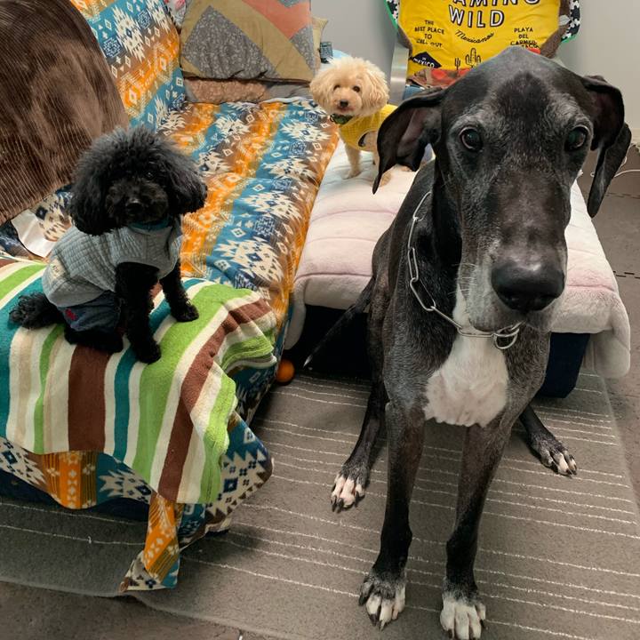 192535b3 61cf 41bc 8da3 c4782d90da45 1603146695958