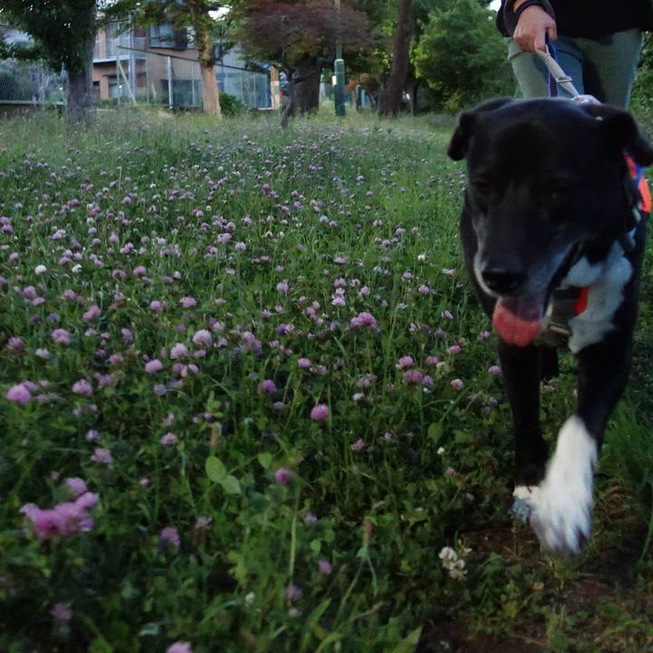 1925406a 418d 4124 b889 3e5a126fdf30 1715339763649