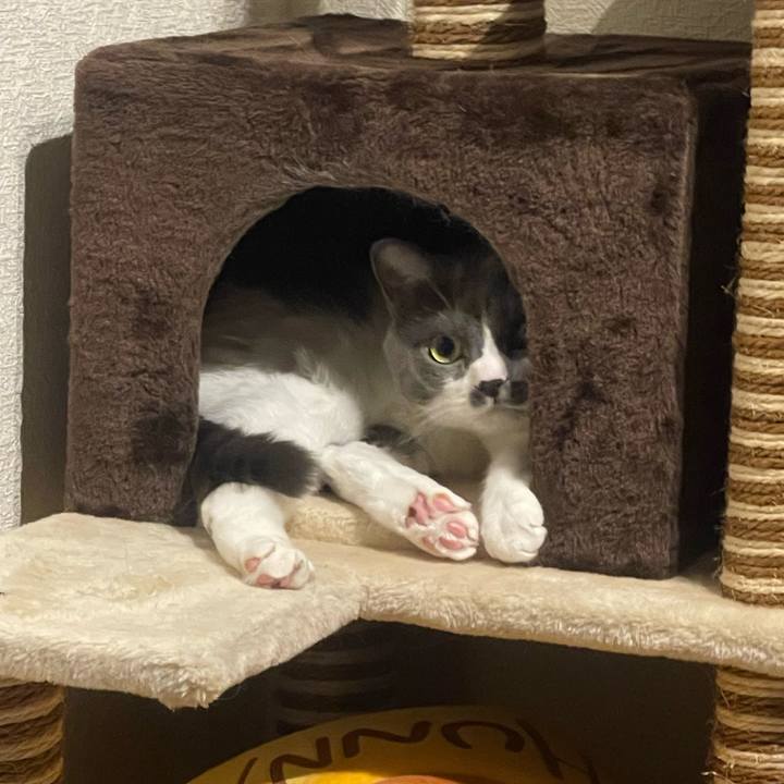 1925f10f f487 40a6 a515 8966480b4a43 1726823486392