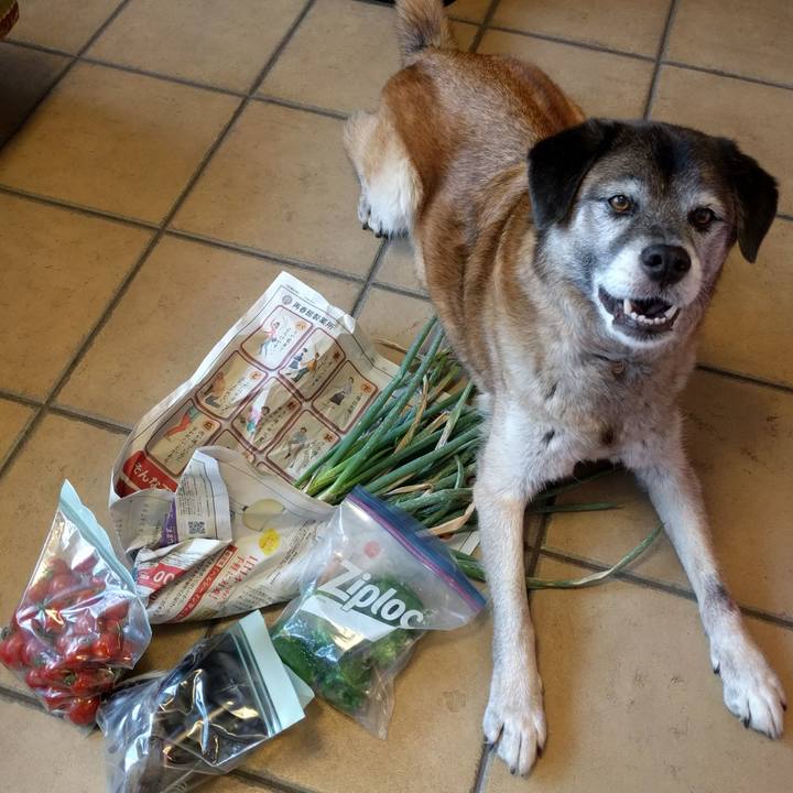 1925fe50 edad 4f55 804f 140dda2b06e9 1531622728549