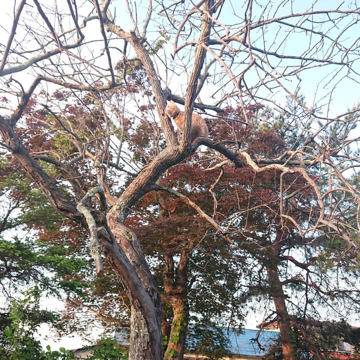 1926258a 4ba7 4cae a173 c5da273fa6e0 1652820657595