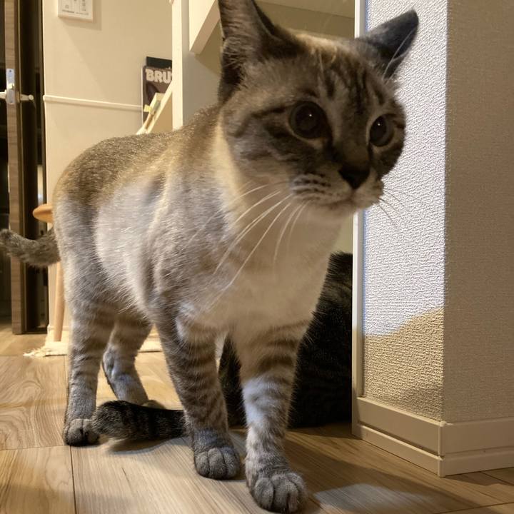 19269e6b 7767 4f92 9e7c 7b6b3f2f7eca 1623240214857