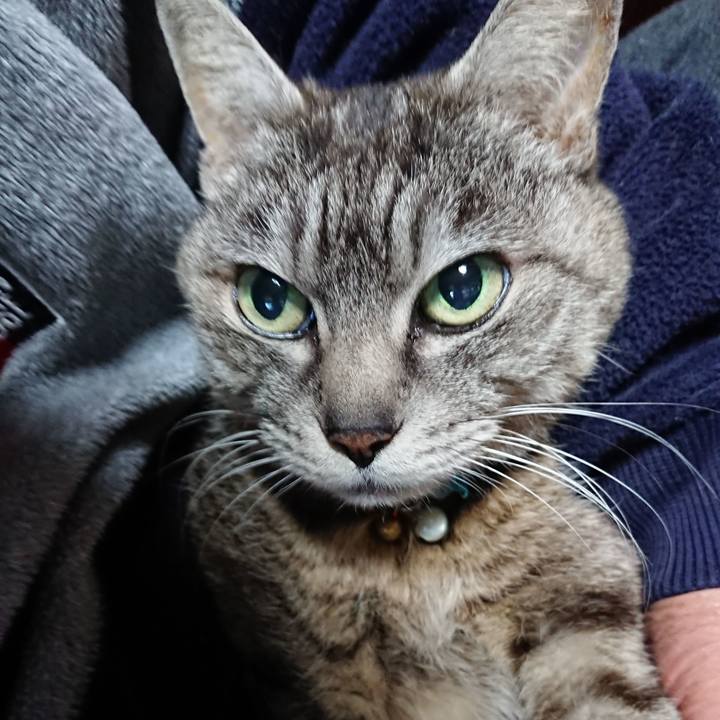 1926e902 89ec 44dc a47a 2d3dd02a5ab8 1553547124603