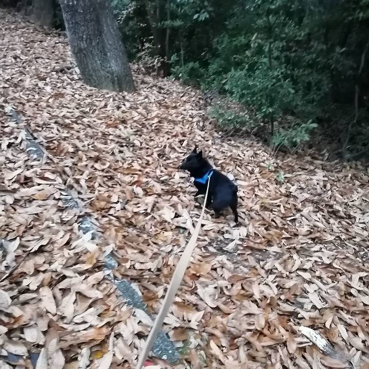 1926f2b9 f445 49a8 aea9 6c911944e7c2 1608674667247