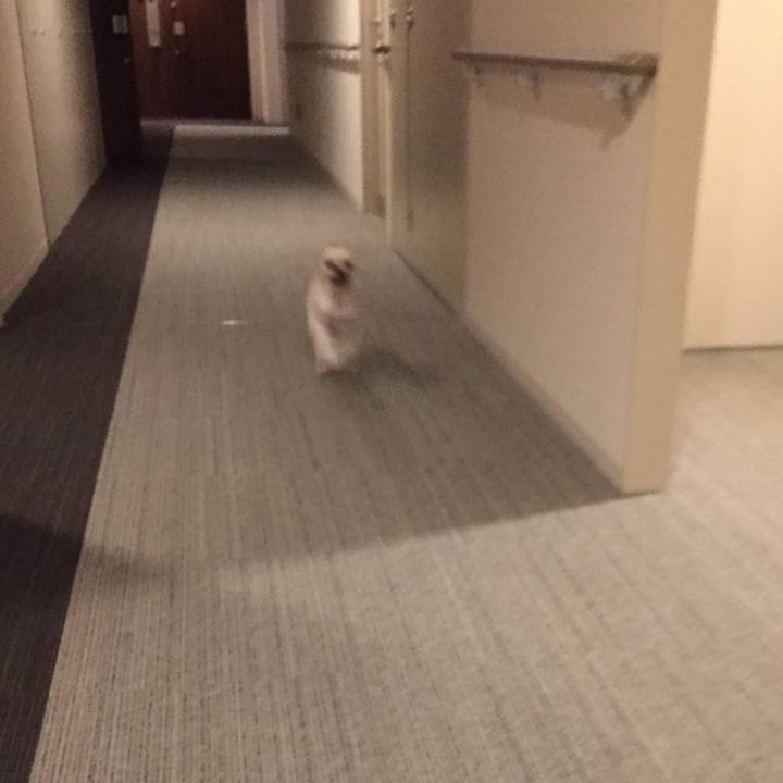 192715f1 d717 4840 afb0 94619191985a 1538755063625