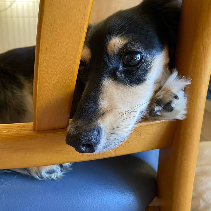 192722b2 3b3a 4ab1 b052 cdbc00f20126 1728601142117