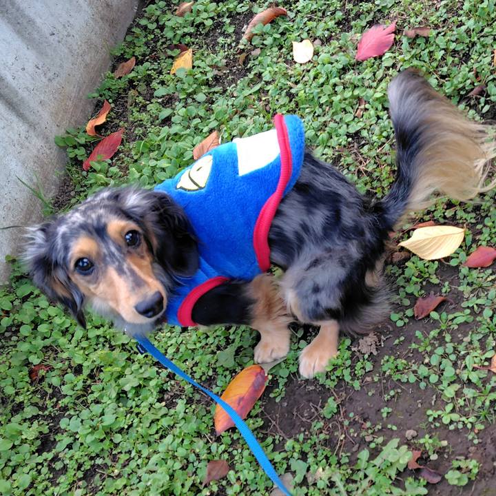 19275111 5797 4a02 a67a 488e3ba0852c 1763612040843