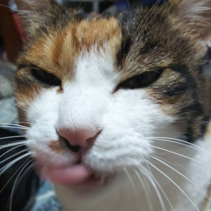 192762e6 c38e 4e5a 9a20 f1766e2ede48 1571867457377