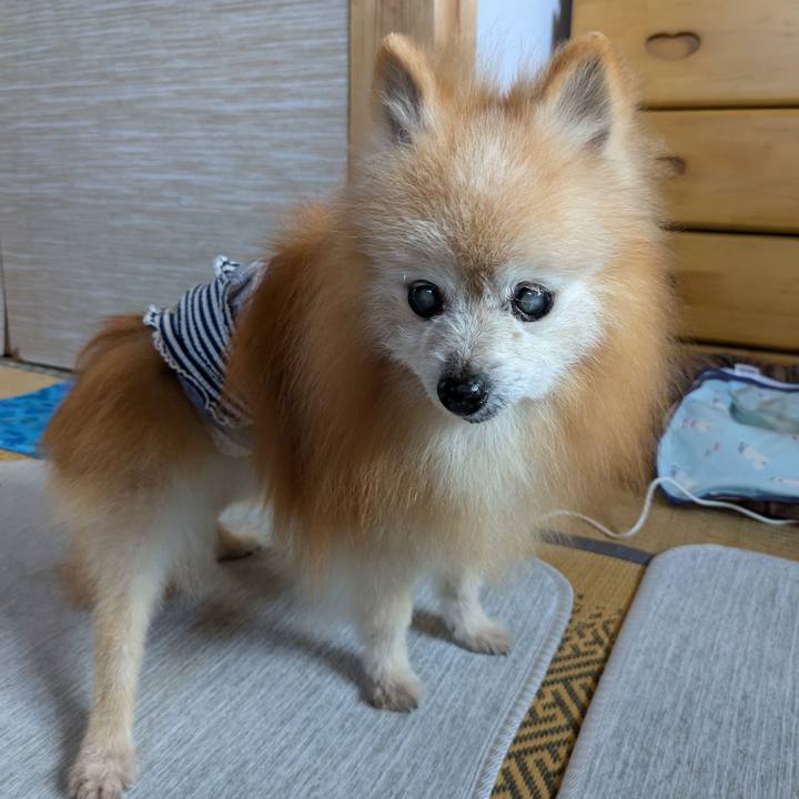 192783ea 150f 4702 aa1d 902cfa584395 1757366983204