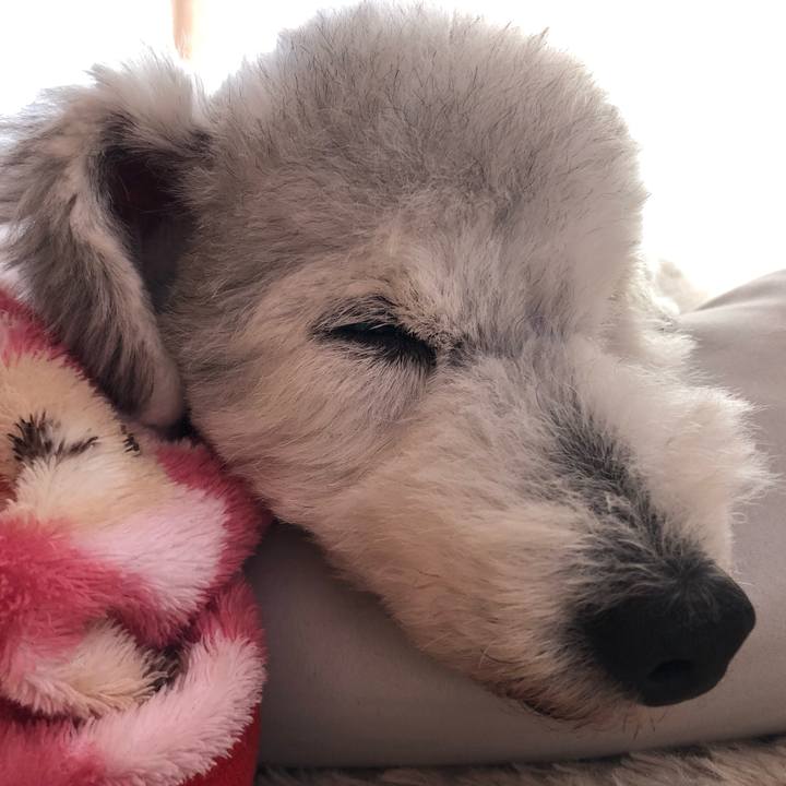 192791ff b682 4e0b baea 295e780f9f61 1639283178364