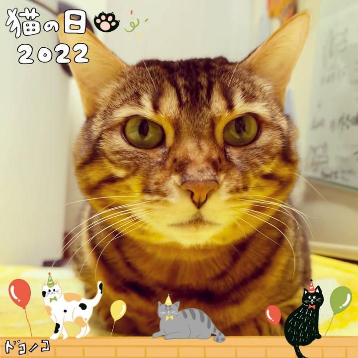 1927c3ea 88eb 48df 966c 9645e56cdaa4 1645500084847