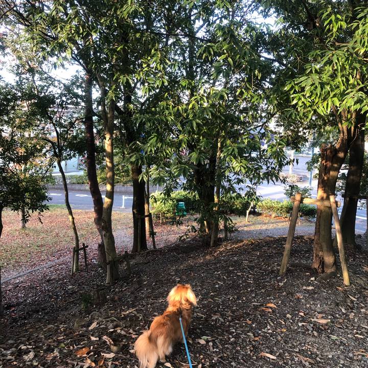 1927d352 82d2 4c52 bda8 e1ab87a1cba1 1542669113961