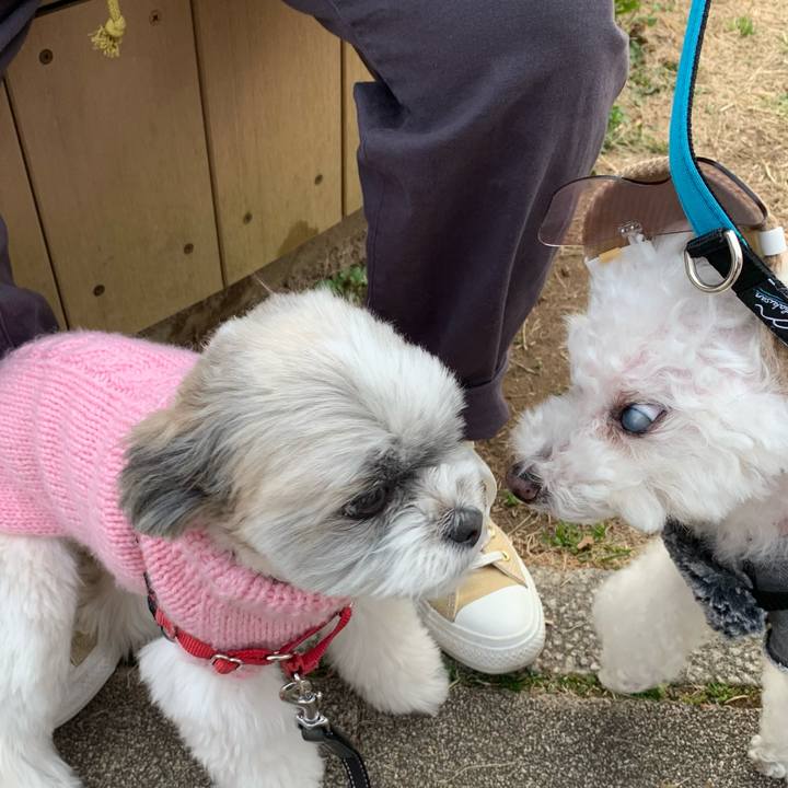 1927dae0 ded0 4947 a16d 0388d3e68cf4 1615070766849