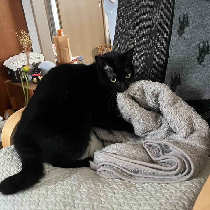 1928395e 71ee 4319 b03b 80eb2863b758 1741134763694