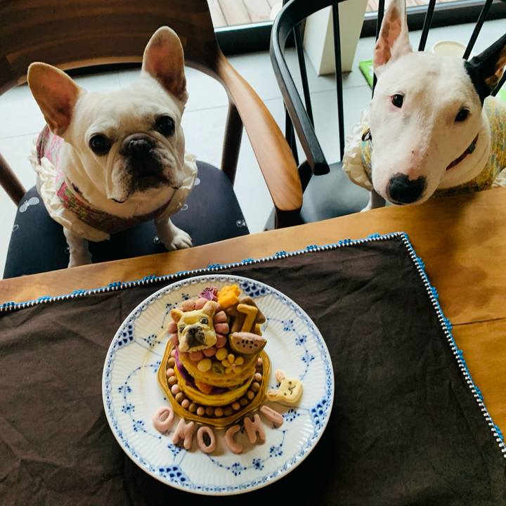 19283cec 10c3 4947 86ce af06580e57ba 1612753269152