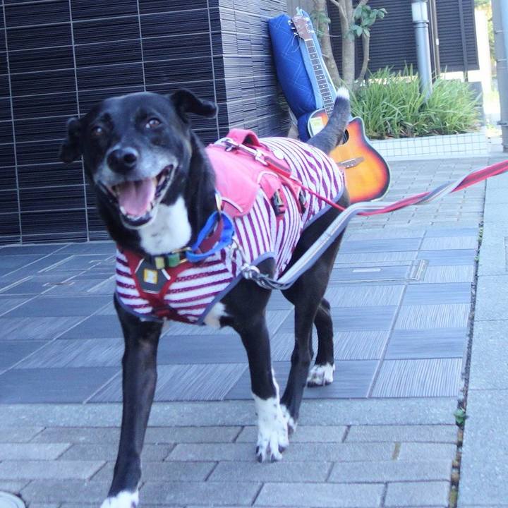 19284c33 6621 4e98 b551 fe056a6fa303 1690069857502