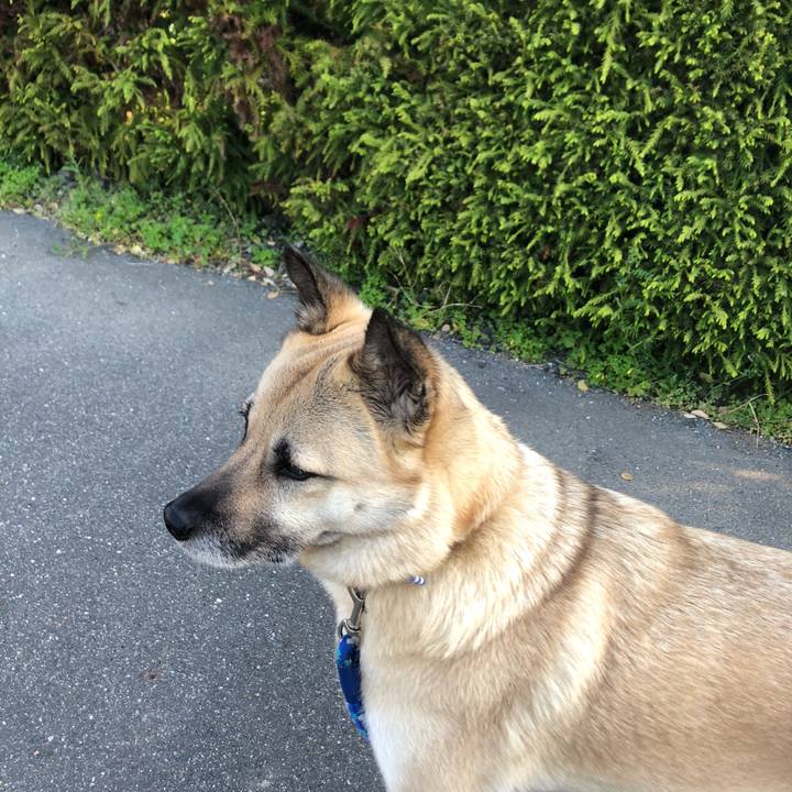 19286a7f ec03 4496 b5c7 c6a9dc7a8a52 1617970464251