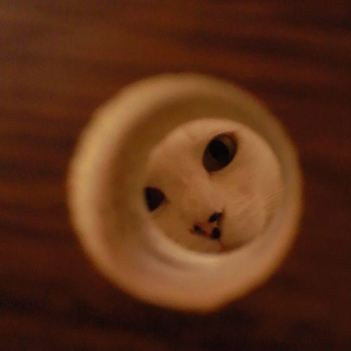 1928b5fe 627f 4790 9d18 7364ea160d29 1686791293338