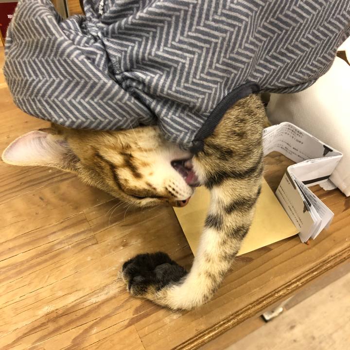 1928cd79 59e2 4115 99a1 1e6674e1cddf 1579270563009