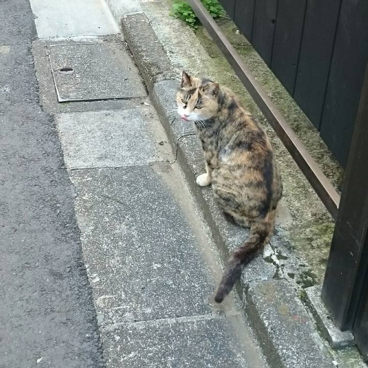 1928e183 336a 4b68 9991 f791723638f3 1526109132859