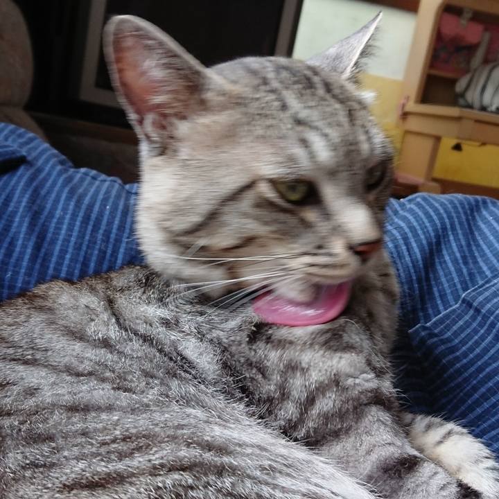 1928e765 4713 4766 b18c f95d6002c2a2 1570503521863