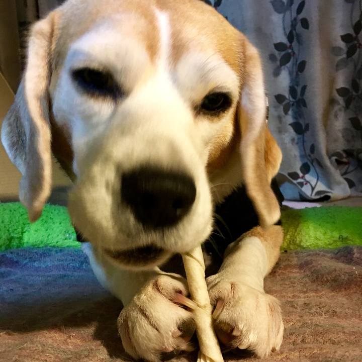 1928fbb1 eed8 4104 a480 58901fc37b78 1738022234519