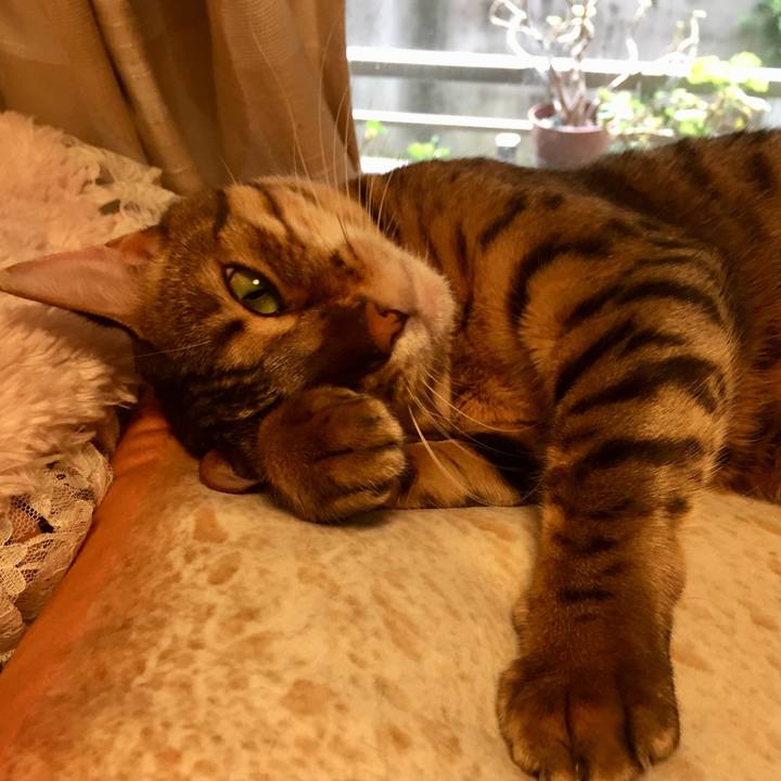 19293412 35a5 4f6b 94a4 9143b75277b6 1537832907870