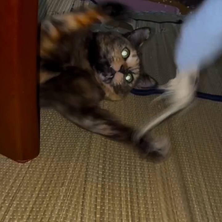 1929533d f2a9 4195 9474 ed8ae96e2445 1772052414652