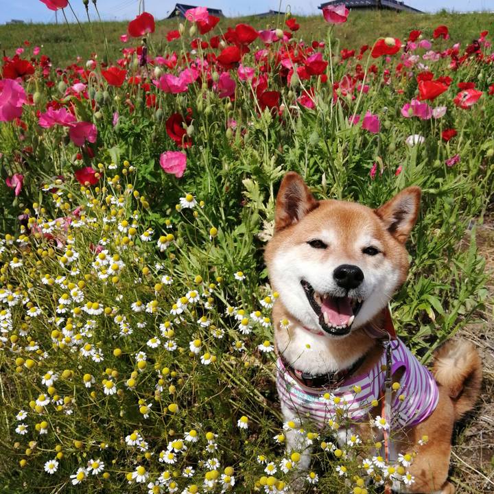 1929bc6b 3126 4d04 9ab6 affdb7804005 1683632328531