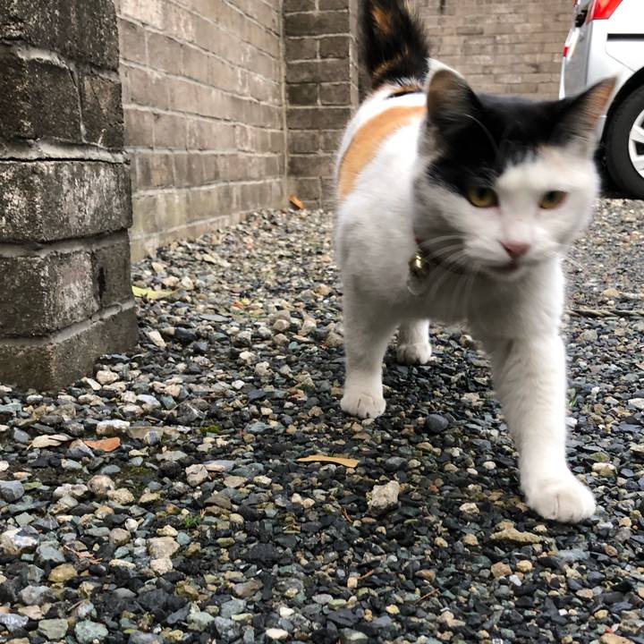 192a0cfd a89c 4f91 a9e9 634882cc26d5 1615242012030