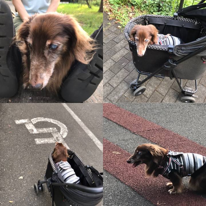 192a122d 4164 4973 94f0 77b66b557bcc 1598307542862