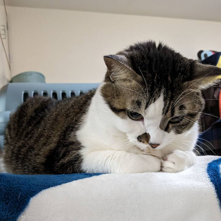 192a3f69 a948 45ac b626 70aafc7458af 1702380376913