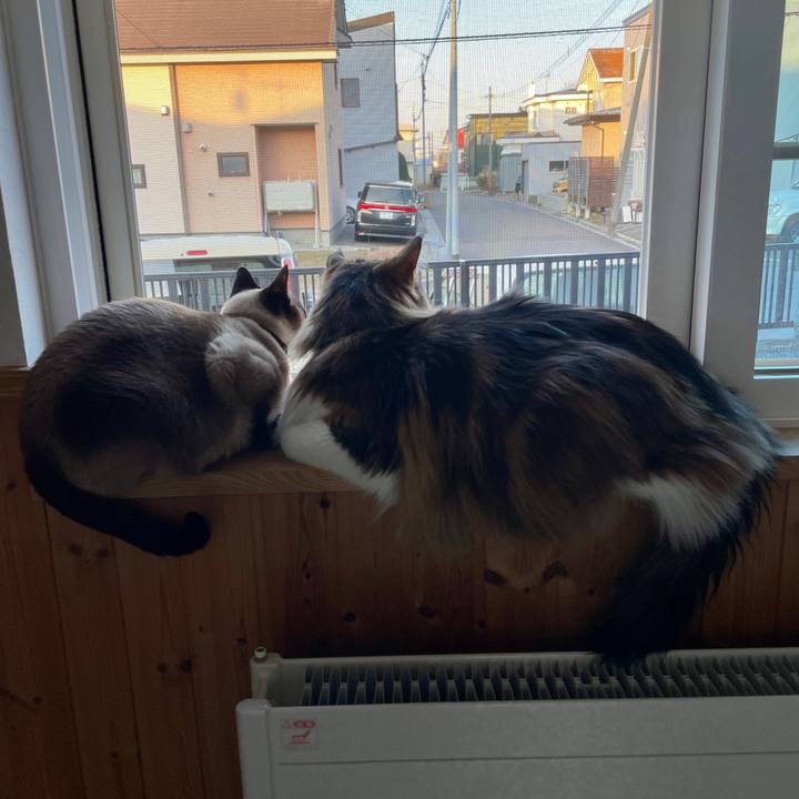 192a4a0c 5e85 4208 bcc3 35f455fea18c 1743454840907