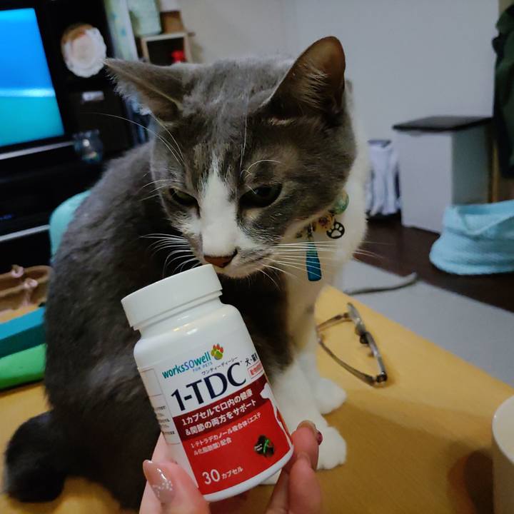 192a8ae1 0f48 4c93 8dbb f4a85b15dde0 1697370644189