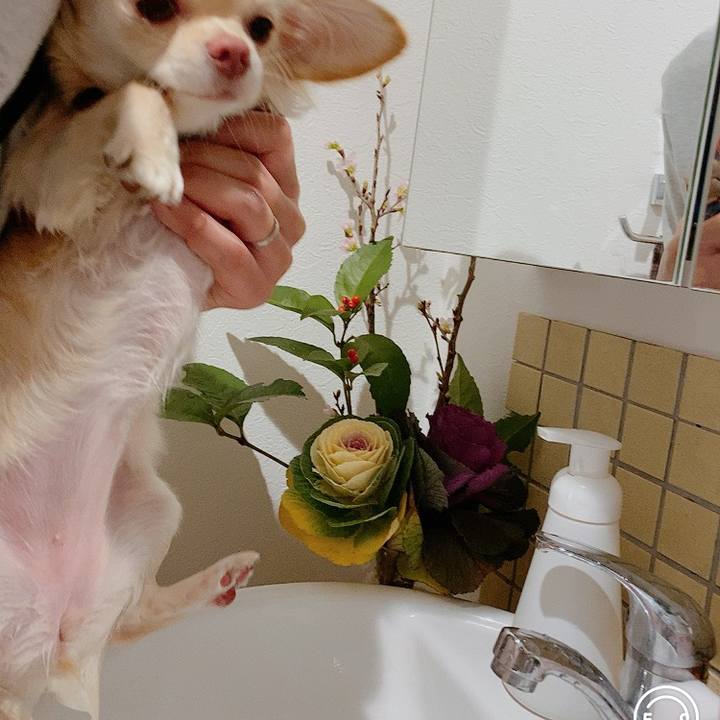 192a9bb0 8a07 460e 821b 77246346d320 1609765693184