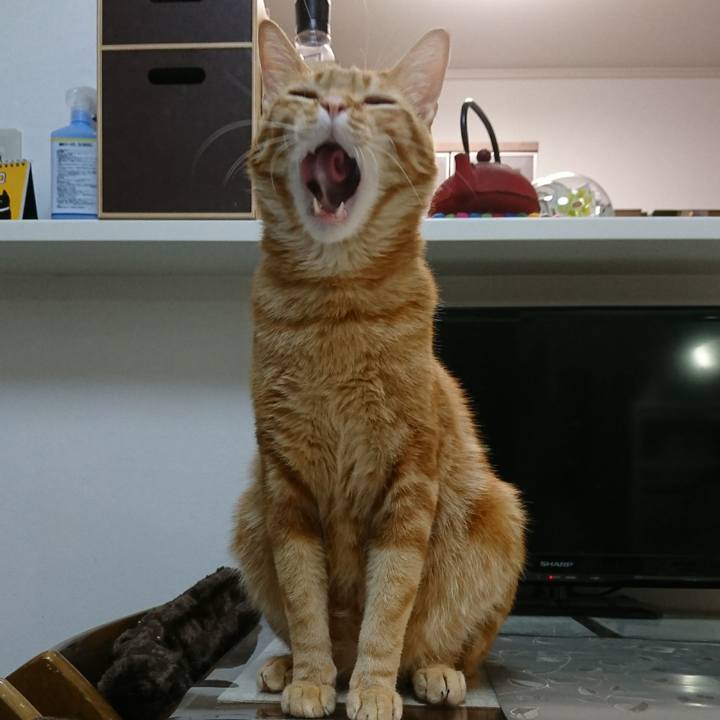 192ab13c 70e3 42c8 9936 060e32d09dac 1514463462393