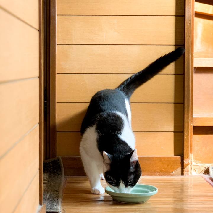 192acd80 9ad1 4b9e 8c28 545329d18b10 1603331023705