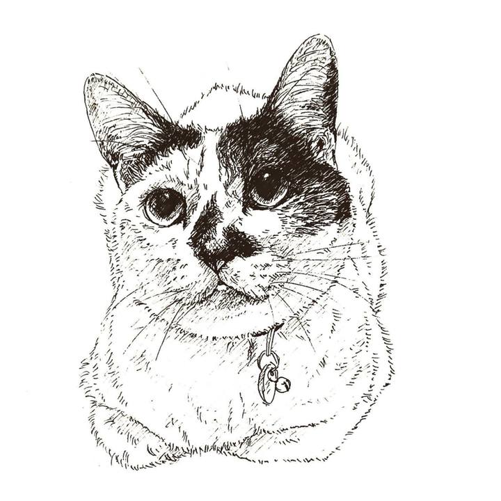 192ad872 5aa0 4c99 b0c3 dc7390a85799 1575125105998